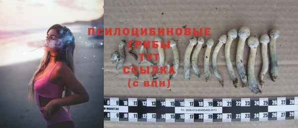 Альфа ПВП Белокуриха