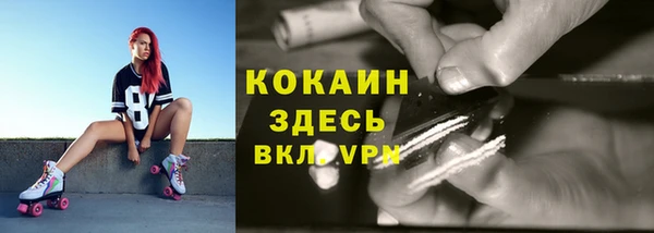Альфа ПВП Белокуриха