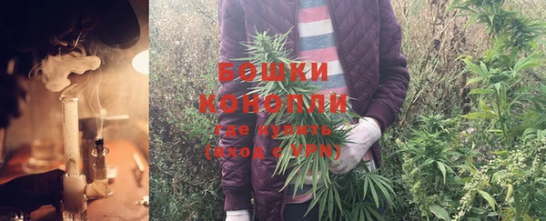 Альфа ПВП Белокуриха