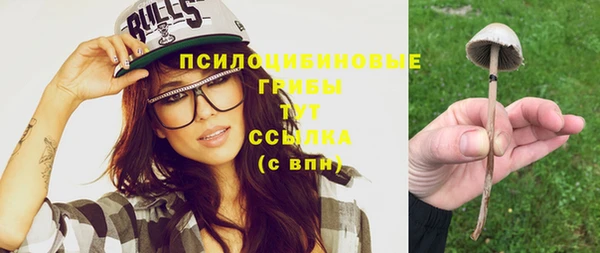 гидра Беломорск
